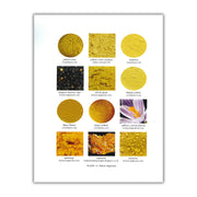 18th Century Colour Palette