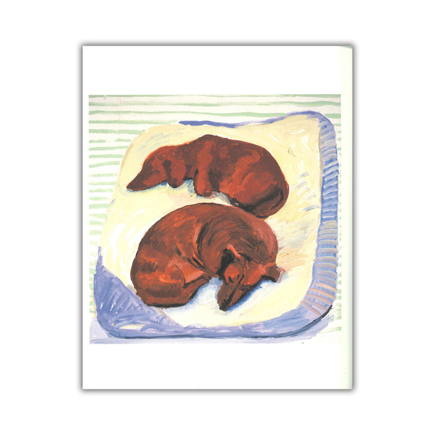 The Book of the Dog