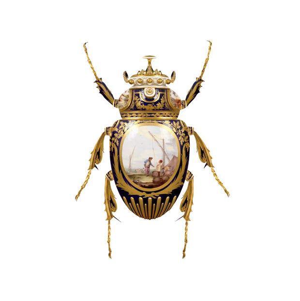 Sèvres Goliathus Scarabaeidae, limited edition print by Magnus Gjoen for the Wallace Collection