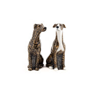 Greyhound Salt and Pepper Shakers