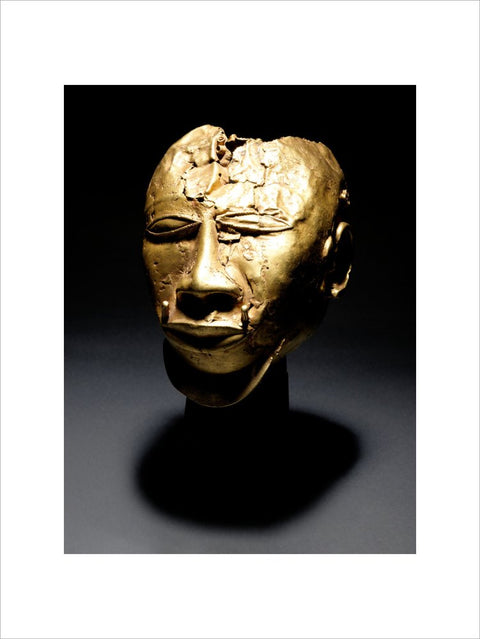 Trophy Head print