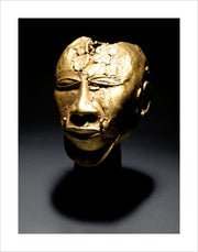 Trophy Head print