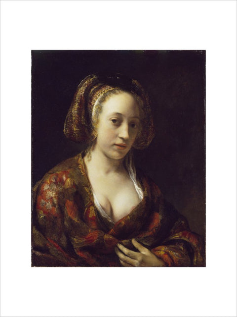 Young Woman in a Brocade Gown print