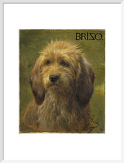 Brizo, A Shepherd's Dog print