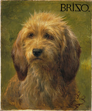 Brizo, A Shepherd's Dog print