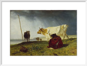 Cattle in Stormy Weather print