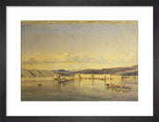 The Anchorage of Smyrna print